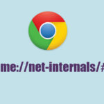 chrome //net-internals/#dns mobile