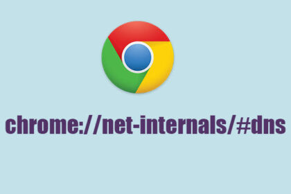 chrome //net-internals/#dns mobile